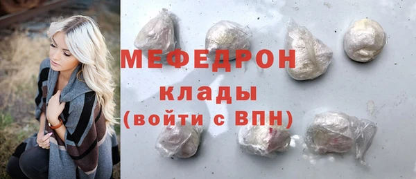 молекула духа Богданович