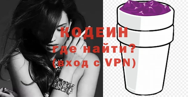 молекула духа Богданович