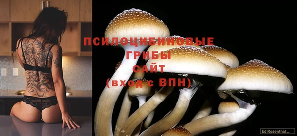 каннабис Богородицк