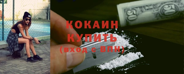 молекула духа Богданович