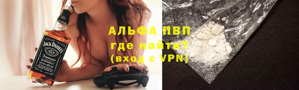 молекула духа Богданович