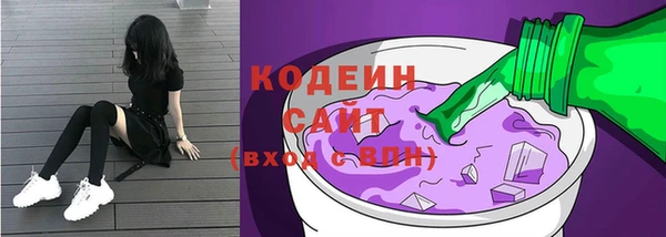 молекула духа Богданович