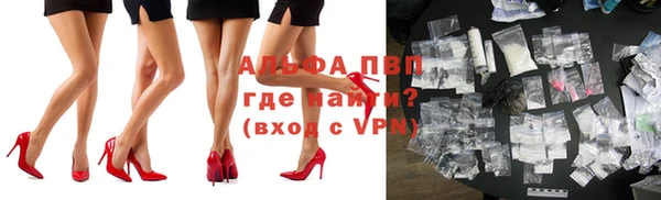 молекула духа Богданович