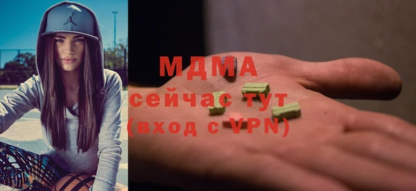 молекула духа Богданович