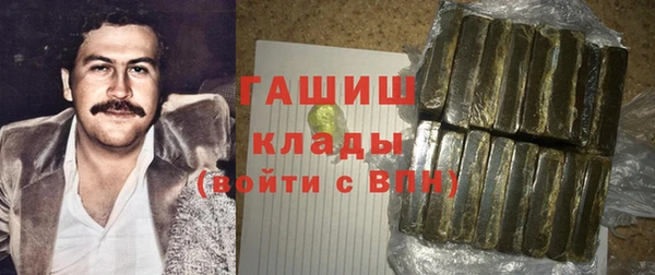 молекула духа Богданович