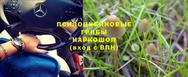 каннабис Богородицк