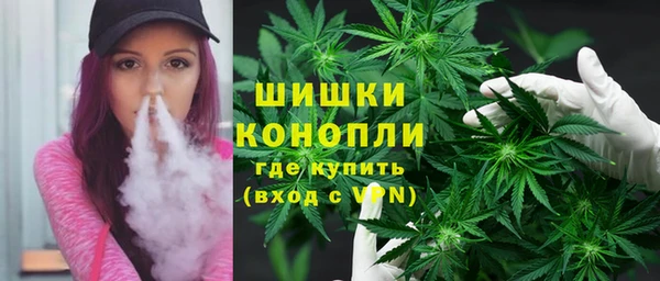 молекула духа Богданович