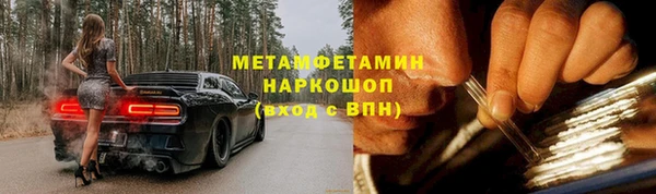 молекула духа Богданович